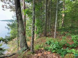 Lot/Outlot 3 Chequamegon Rd