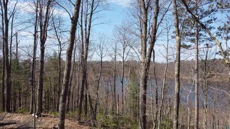 66172 North Point Dr