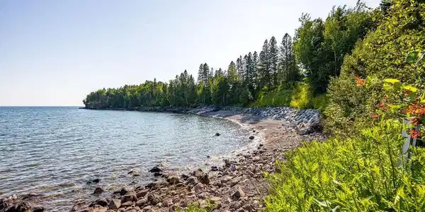 2798 Highway 61
