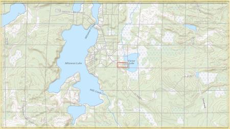 10350 Victor Lake Rd