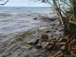 89XXX Jack Pine Rd