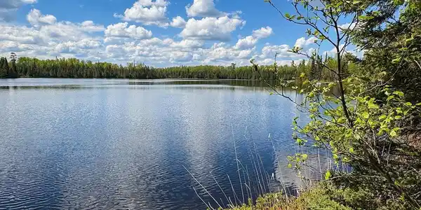 74 Moose Ridge Rd