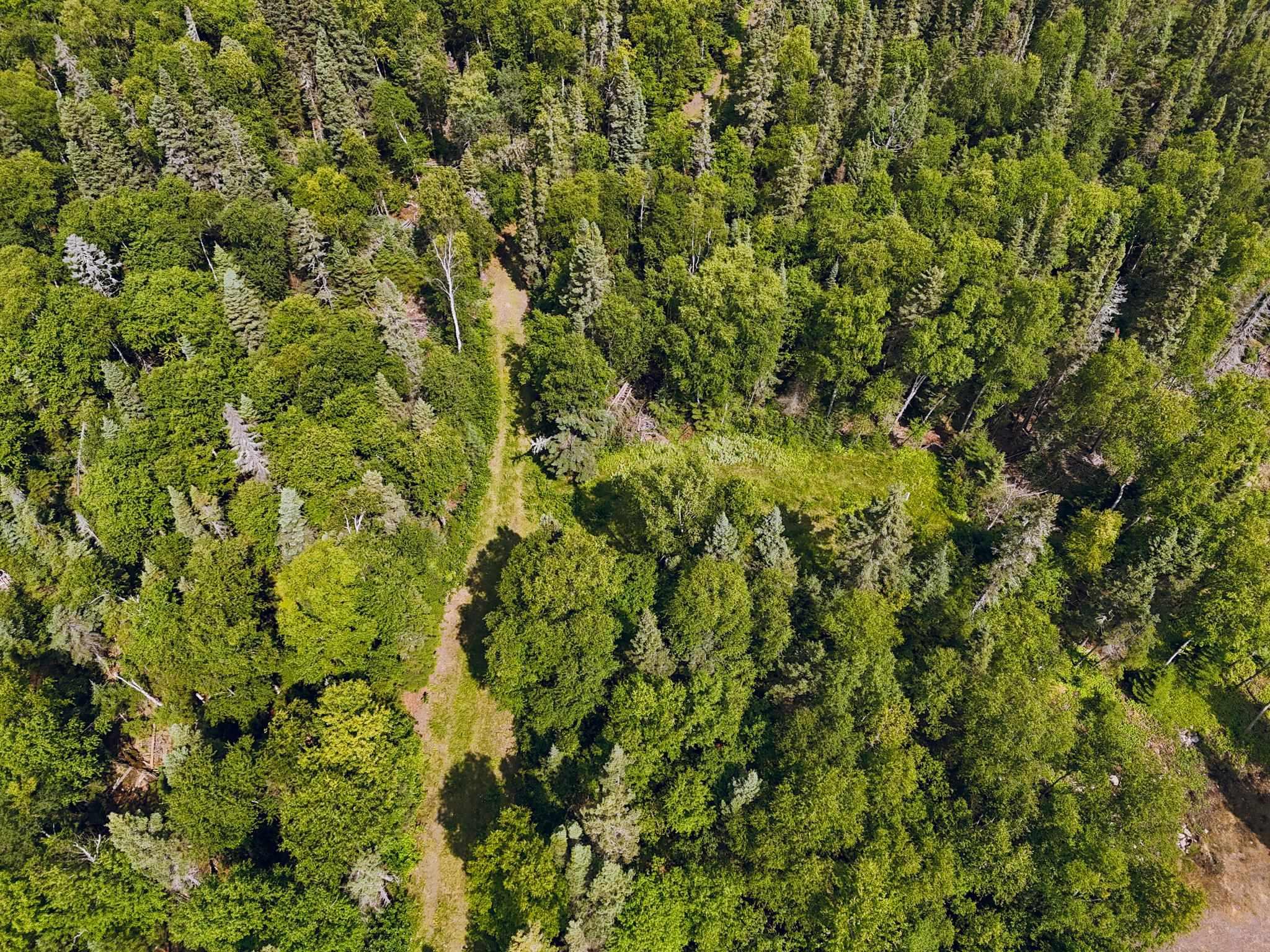 Image 3: View of property location with a heavily wooded area, Aerial View