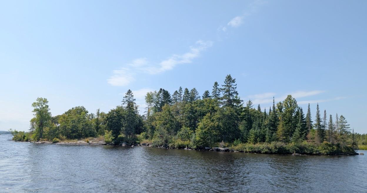 Image 0: Water view featuring a heavily wooded area, View