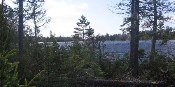 51 Moose Ridge Rd