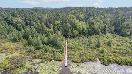 15669 S Cranberry Lake Rd