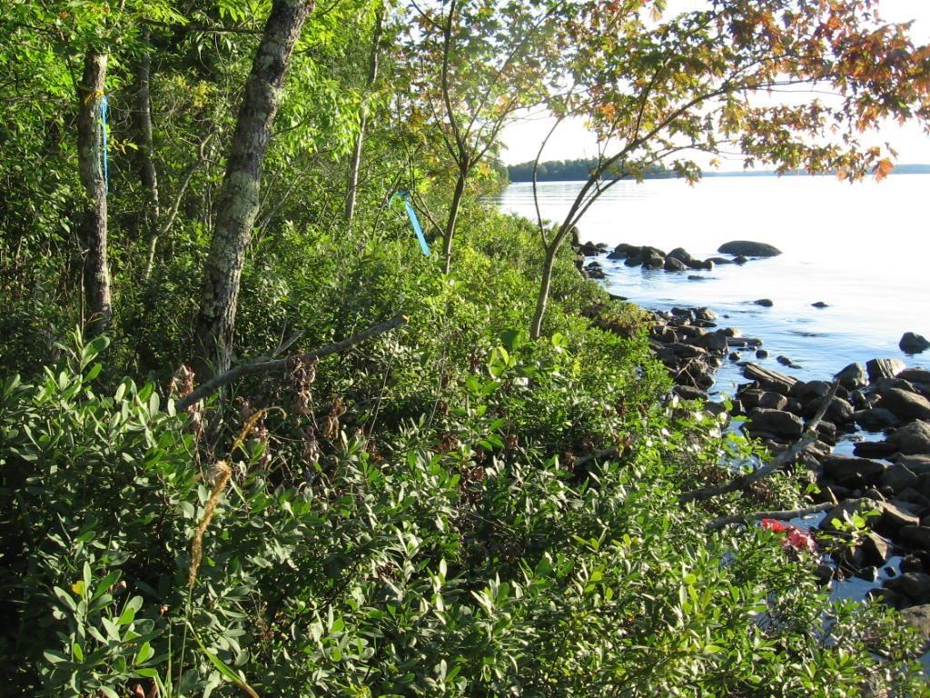 Image 3: View of undeveloped land with a nearby body of water, View