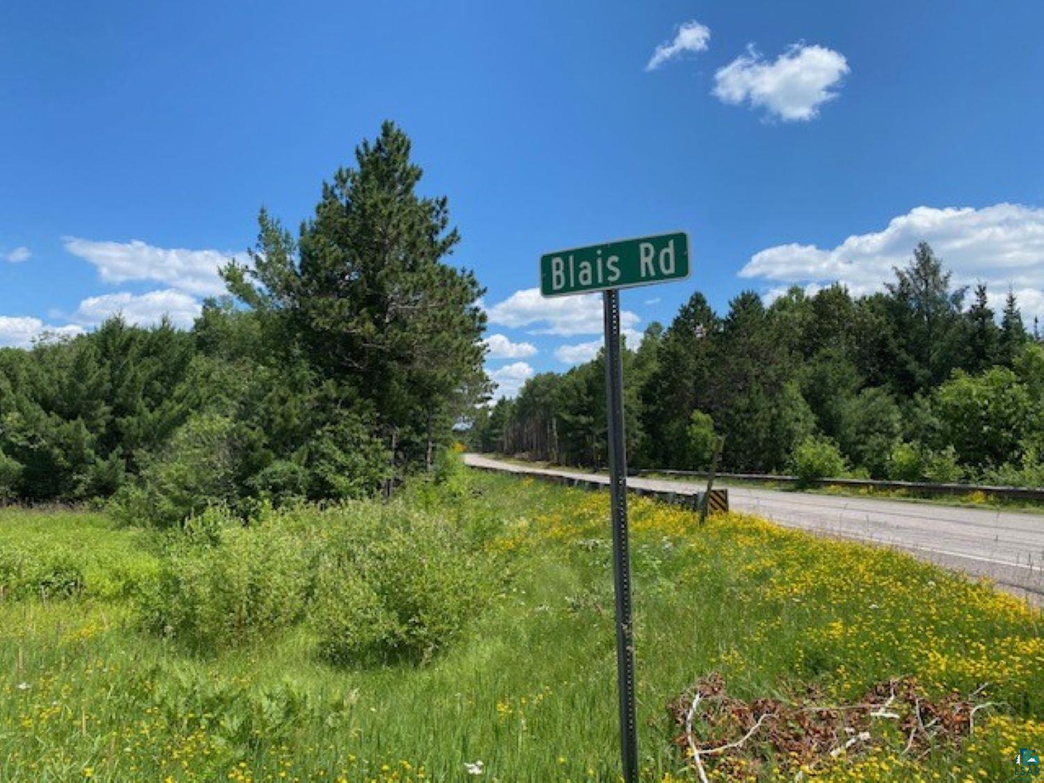 Image 1: Blais Road frontage featuring a verdant landscape with mature trees and wildflowers, Other