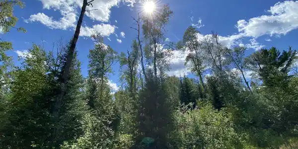 XX Pine Peak Rd
