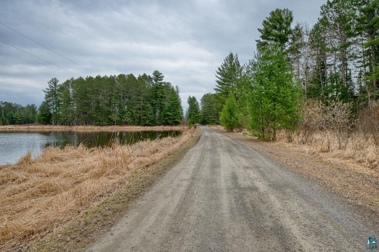 Image 2: Gravel road bordered by a body of water with extensive natural foliage and a dense forest, Community