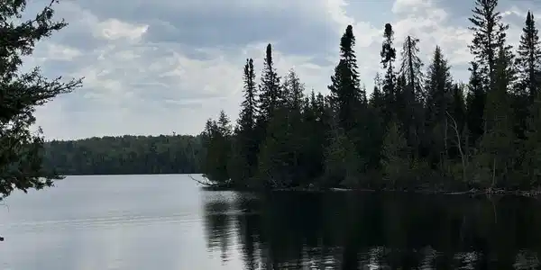 100 Wilderness Tr