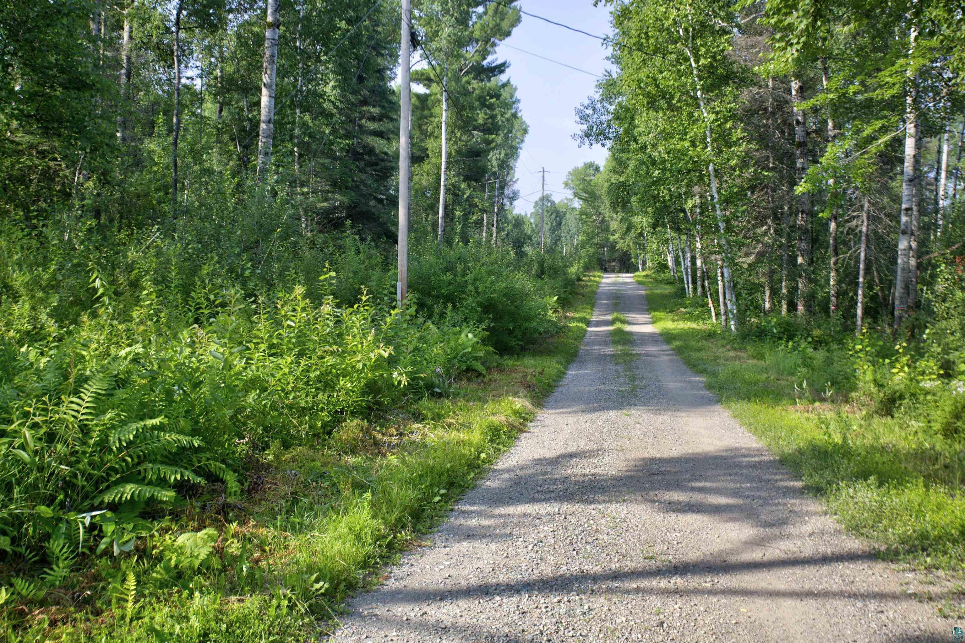 Image 1: Endless Waters Road