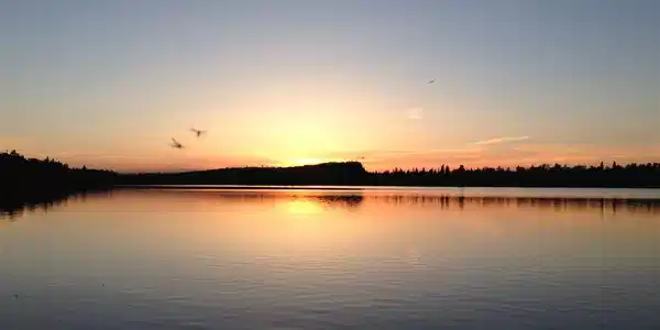 Lot 6 Tom Lake Rd