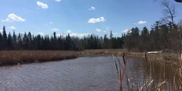 TBD(Parcel E) Koochiching County Forest Rd