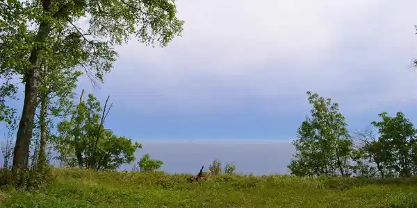 Lot2 Birch Cliff Rd