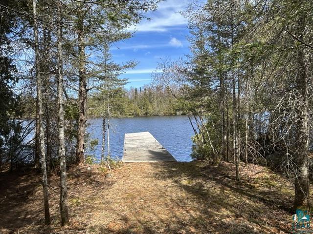 Image 2: 455' of Lakeshore on Tait Lake