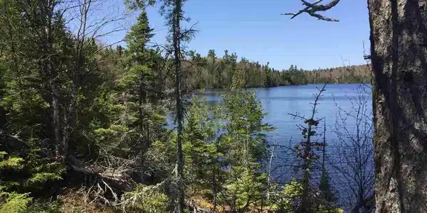 xxx Tom Lake Rd
