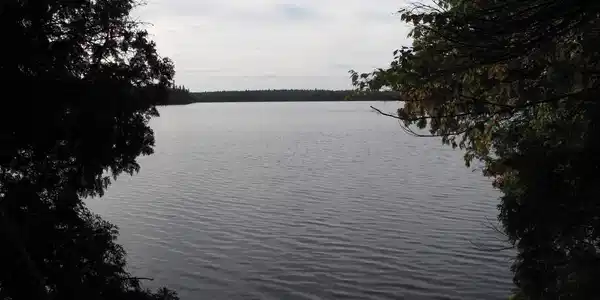 284 W Deeryard Lake Rd
