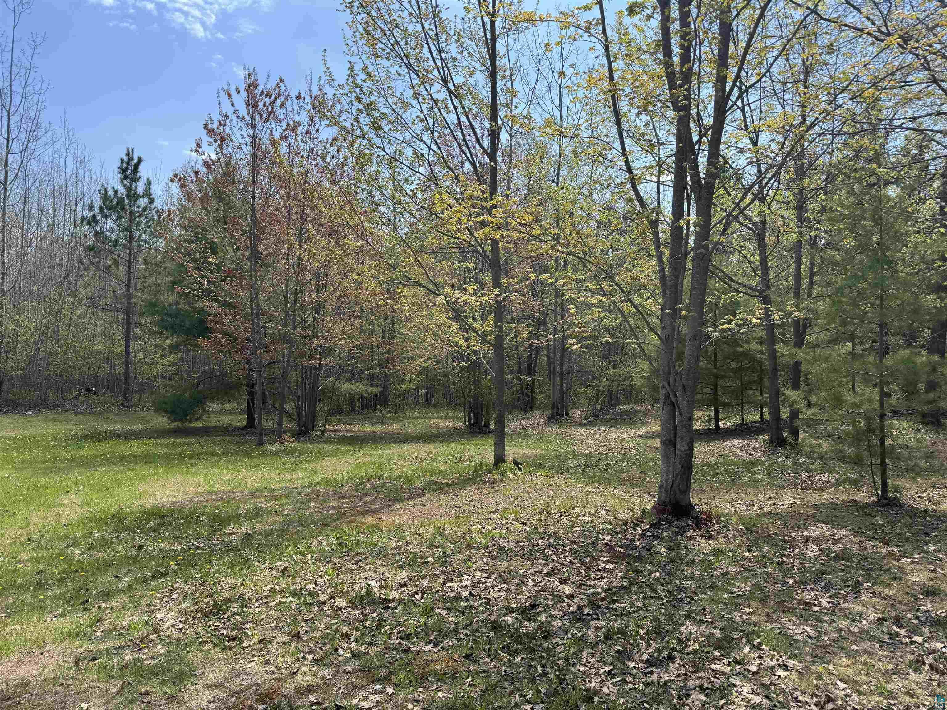 Image 1: spacious yard