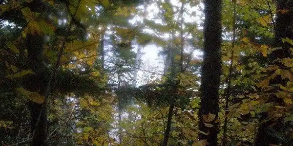 xxx Greenwood Lake Rd
