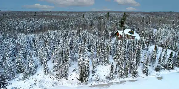 8 Black Spruce Tr