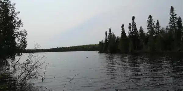 16 Wilderness Shores