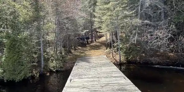 Image 3: Permanent Dock Included