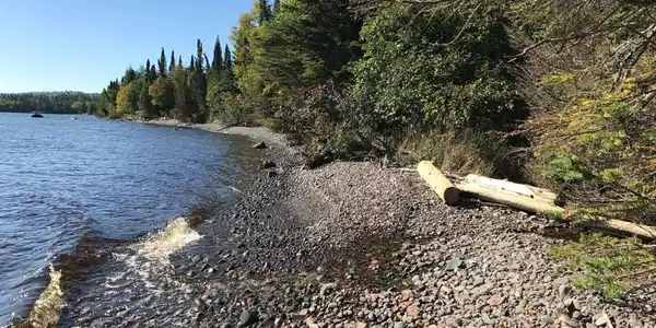 X Tamarack Tr