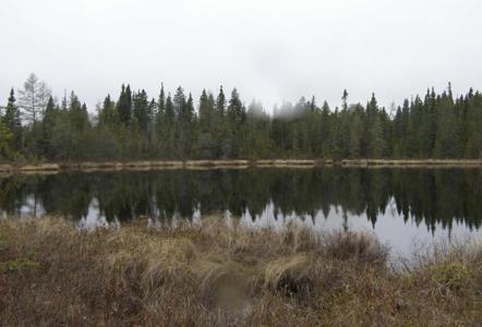 XXXX Tom Lake Rd