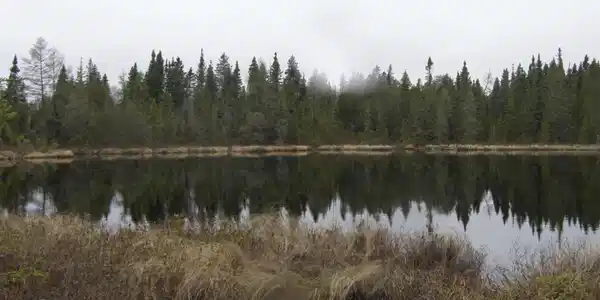 XXXX Tom Lake Rd