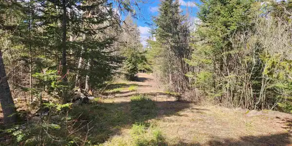 Lot 8 Wilderness Tr
