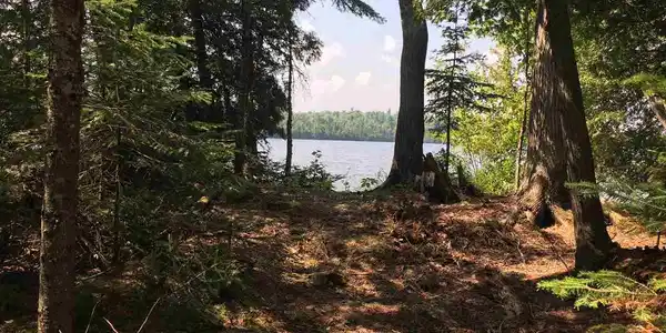 xx Wilderness Shores