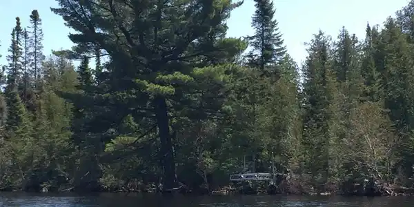 XXZ Wilderness Tr