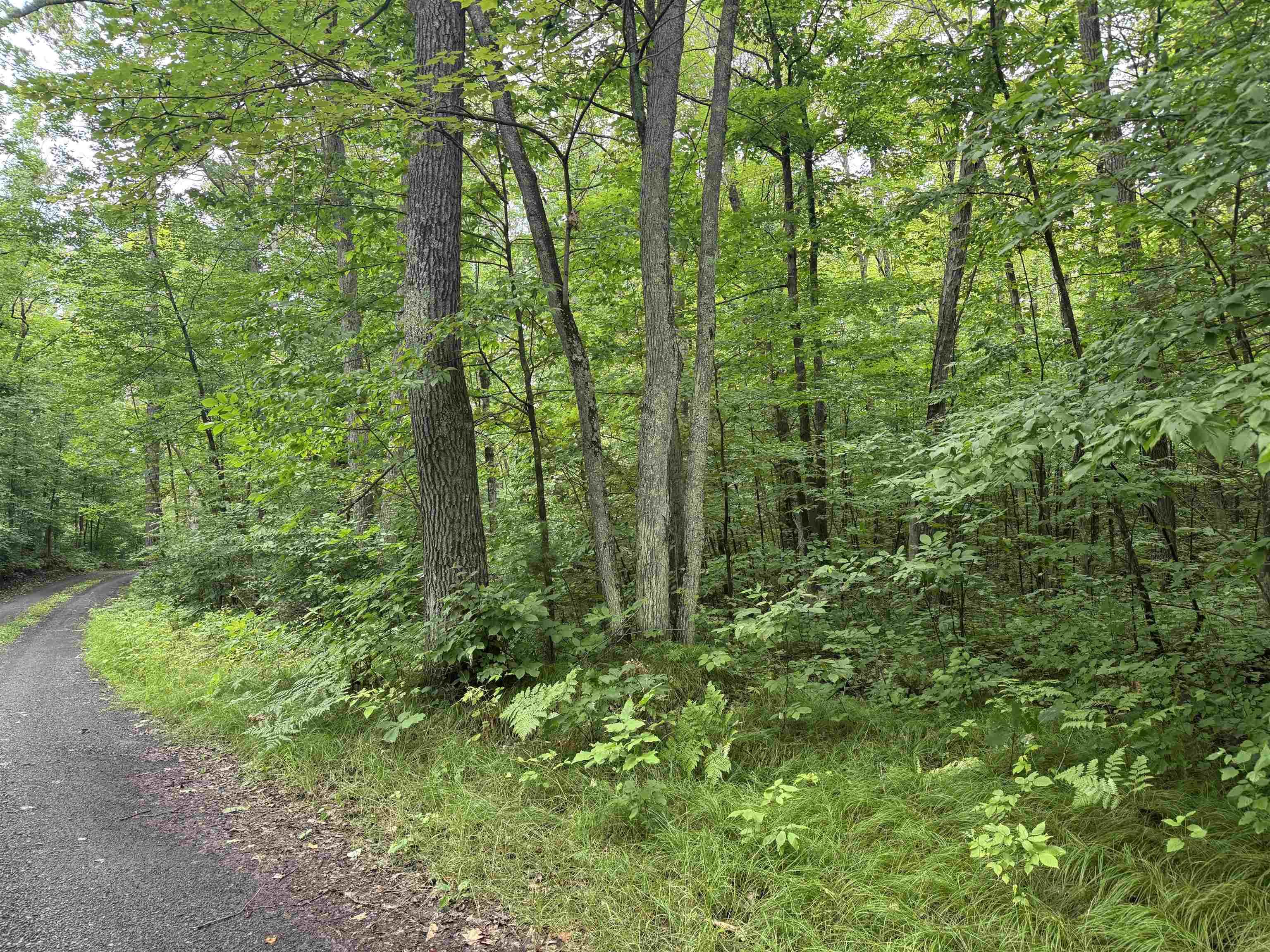 Image 0: View of tree filled area, View