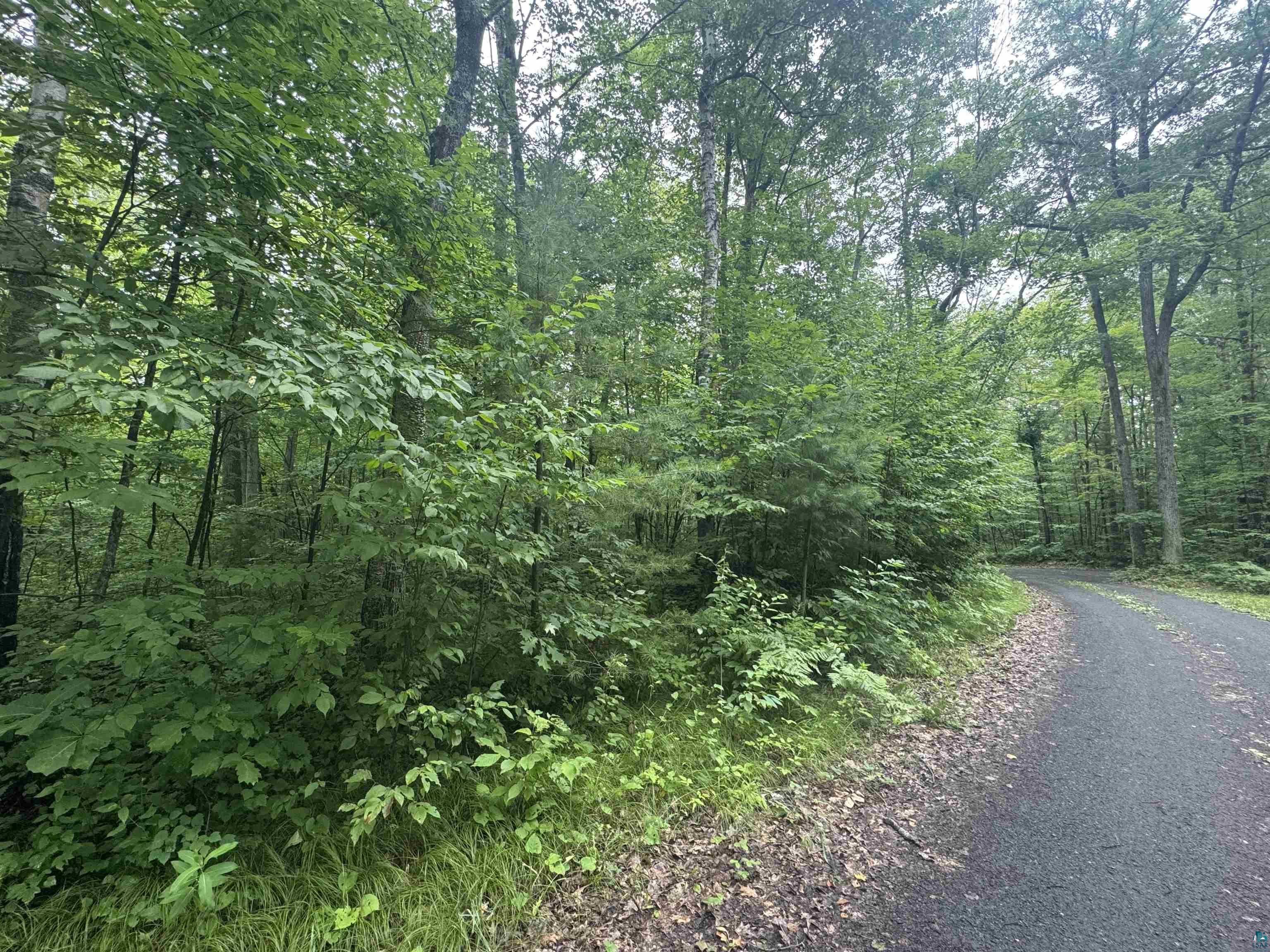 Image 2: View of road featuring a wooded view, Community