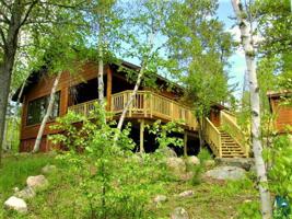 2518 Little Bear Island Escape Rd