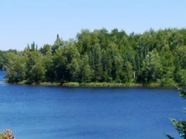 Near Long Lake Rd