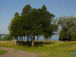 Lot 5 Tierra Rd