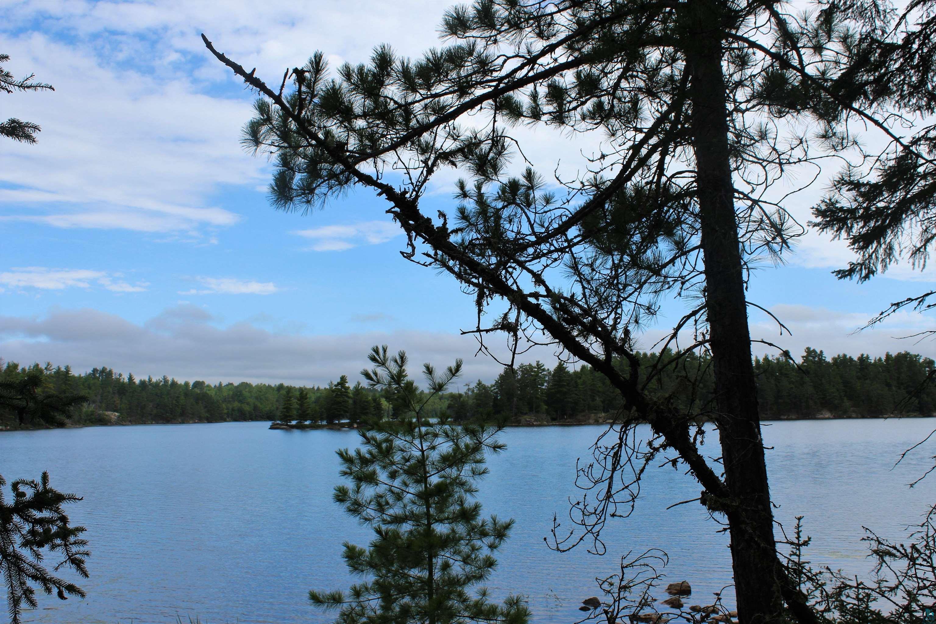 Image 0: Water view featuring a heavily wooded area, View