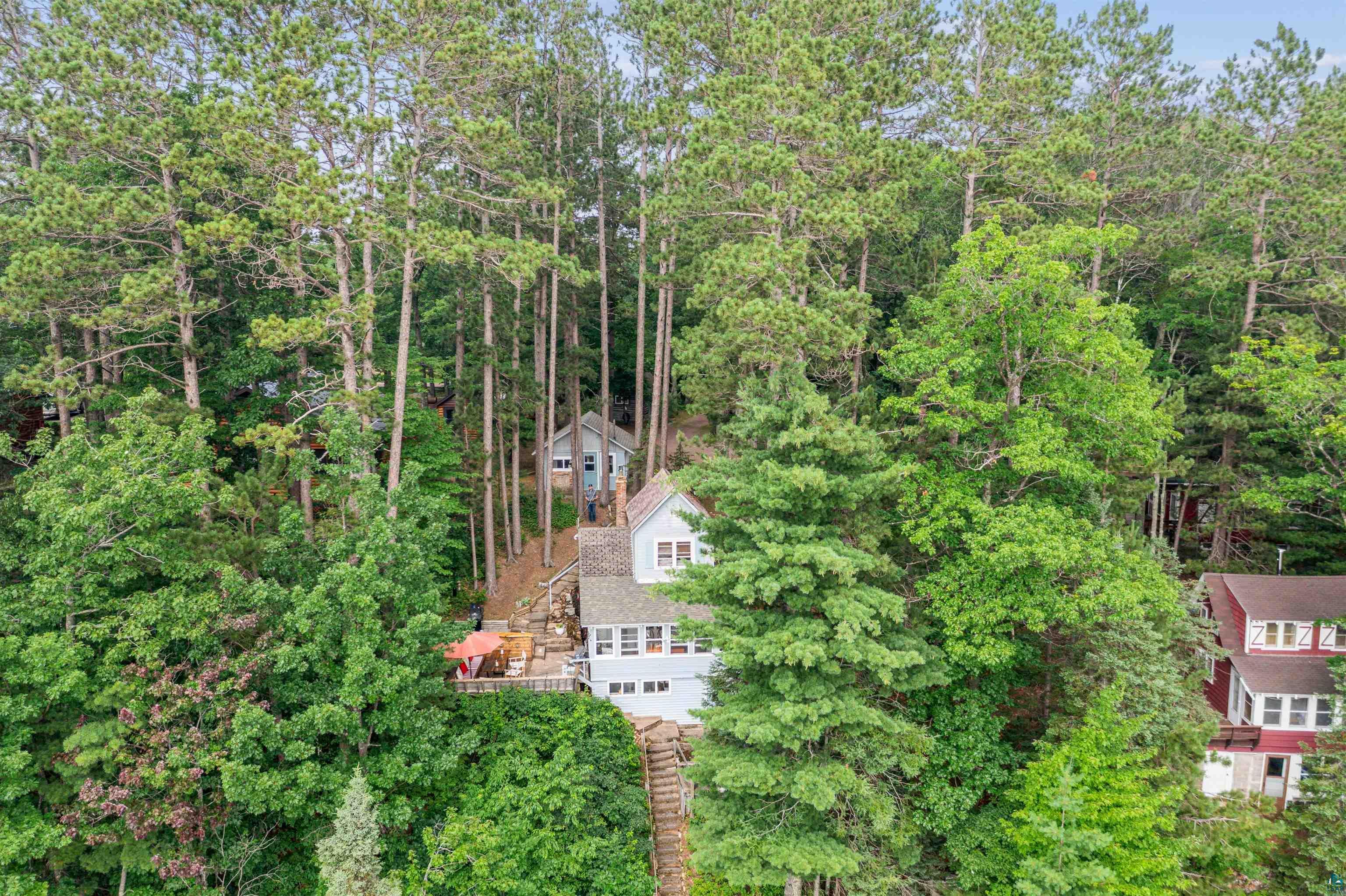 Image 1: Aerial view of a forest, Aerial View