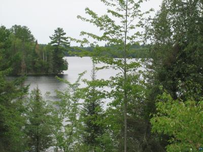 13848 Queen's Bay Rd