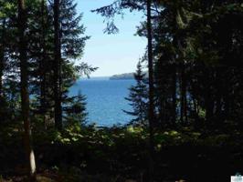 xxxxx White Pine Tr