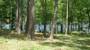 Lot #52 Morgans Cove