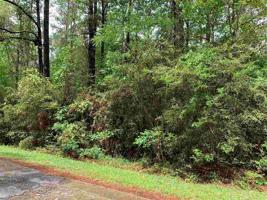 Lot 76 Dogwood