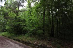 00 Cottonwood Trail
