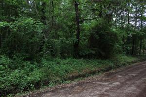 0 Cottonwood Trail
