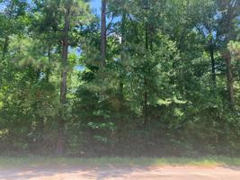 303 Pinestraw