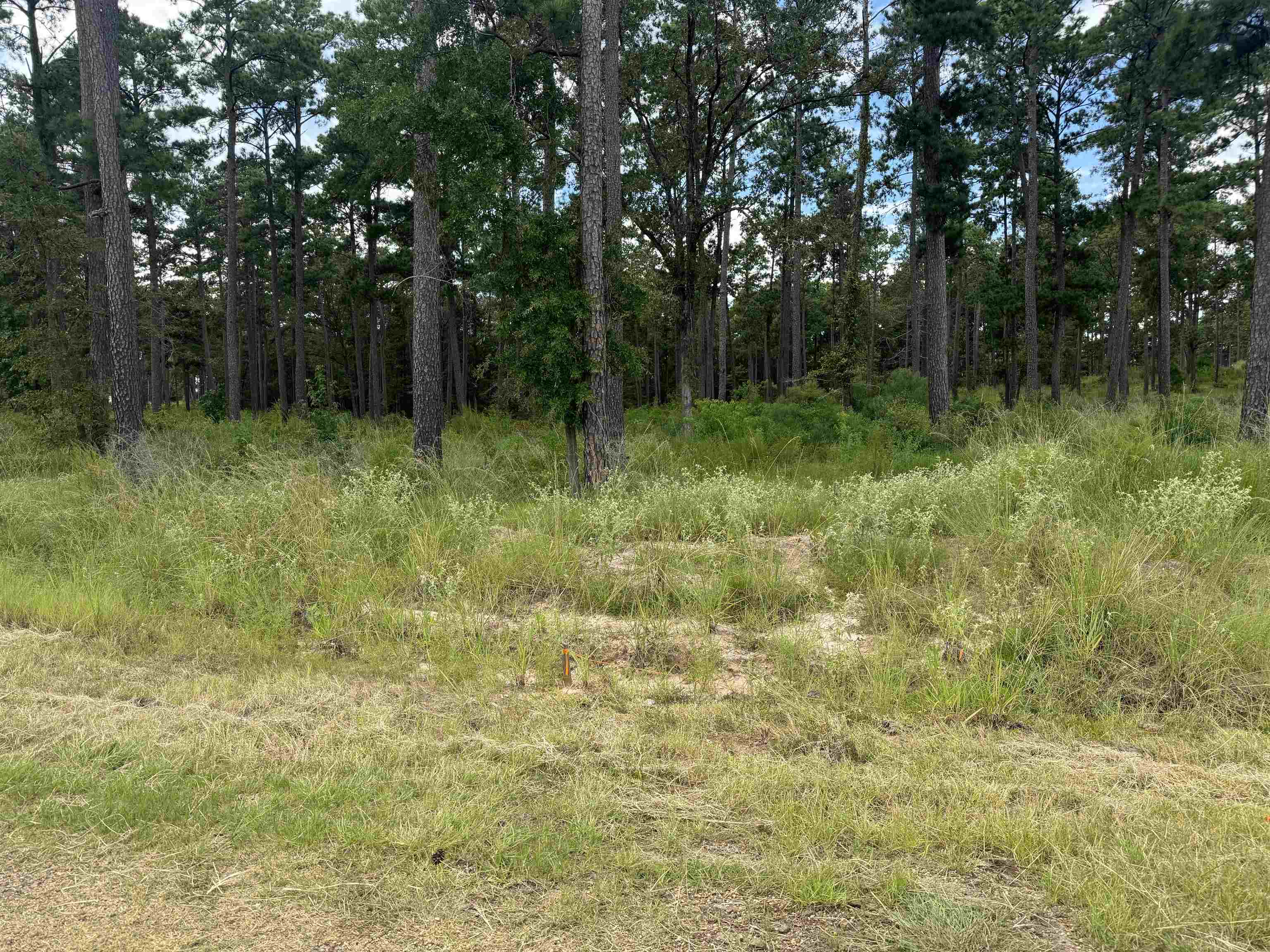 Image 2: Additional View