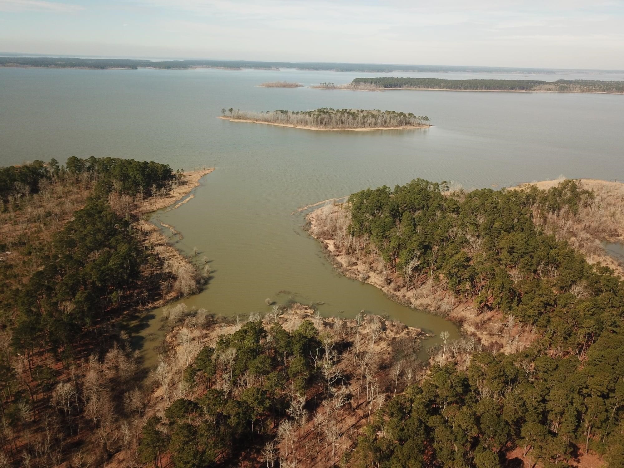 Image 4: Additional View