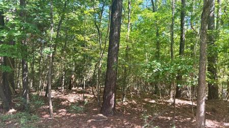 Lot 1 &2 Pine St